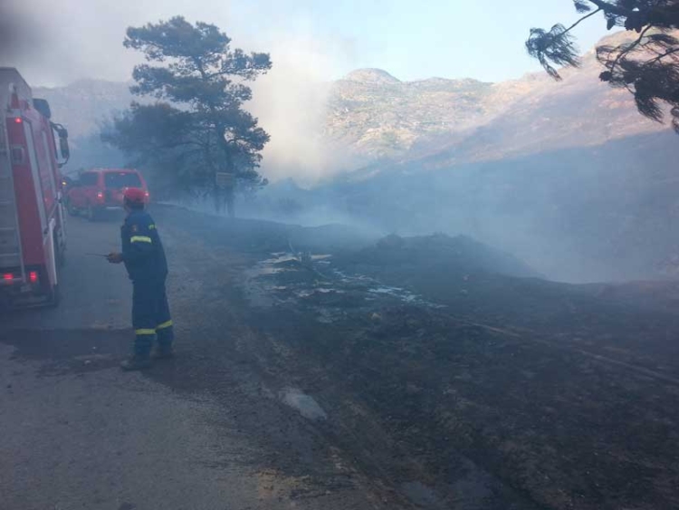 Φωτογραφία: Γιάννης Ψυλλάκης