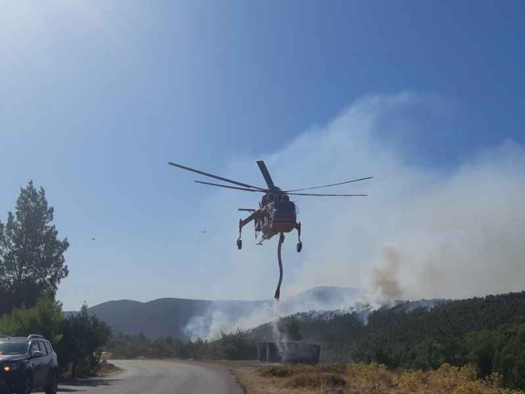 φωτογραφία αρχείου